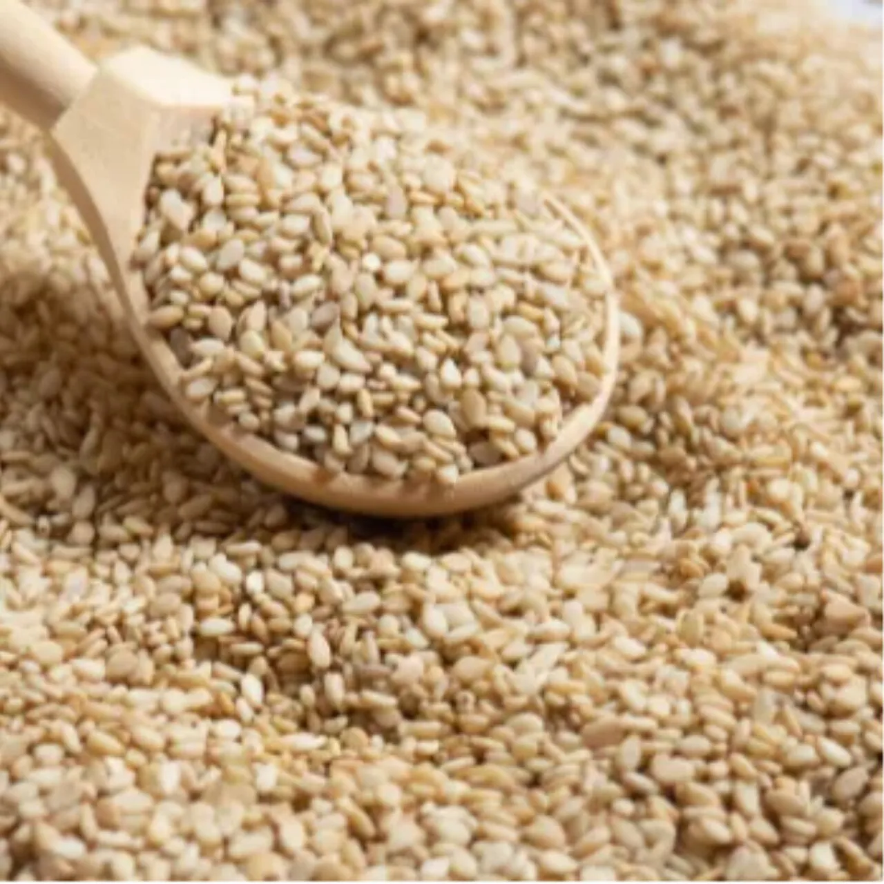 GERGELIM BRANCO COM CASCA 100g 